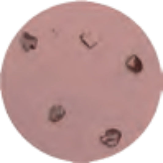 Raimondi 273D115 W14 Disco al Carburo di Tungsteno per Smerigliatrice Angolare Diametro Ø 115 mm Grana Diamante 14 Utilizzabile Per Cemento Legno Mattoni Intonaci Marmo Piastrelle Colle Plastica Vetroresina Ruggine Vernici Non Intasa Pulibile