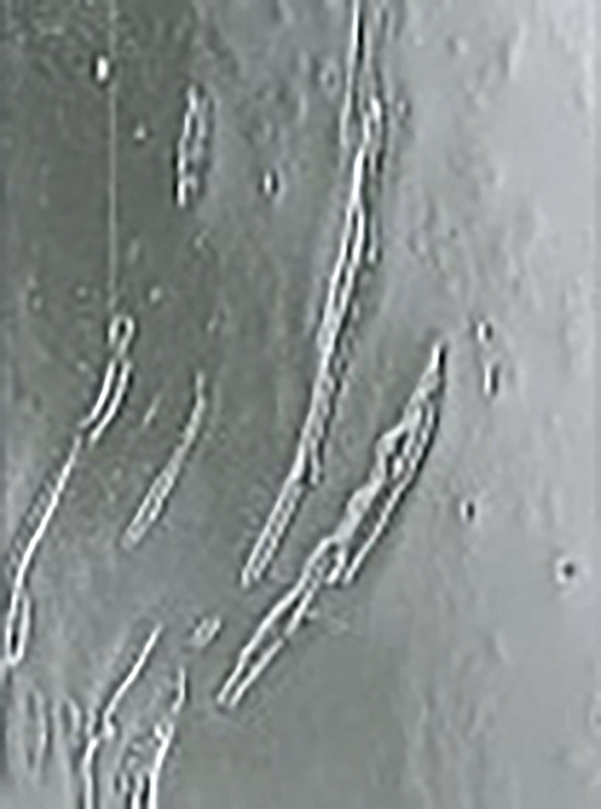 Novellini New Holiday A90 Idromassaggio 90x90 cm Cabina Doccia Multifunzione Apertura 2 Ante Scorrevoli e 2 Fisse Angolo Destro Sinistro Miscelatore Meccanico Vetro Aqua Profilo Bianco Piatto Ripiani Asta Doccetta Mano Rotopioggia Seduta Altezza 206 cm