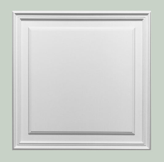Orac Decor D503 Pannello Per Porta Decoro Arredo Duropolymer® Polistirene Alta Densità Bianco Resistente Agli Urti Calore Facile Da Installare Verniciabile Pretrattato Primer Acrilico Impermeabile Per Interno ed Esterno Ambienti Umidi Misura 55x55x1,7 cm